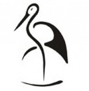 Čáp bílý na Slovensku