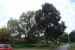 17-Památný dub v Hradějovicích